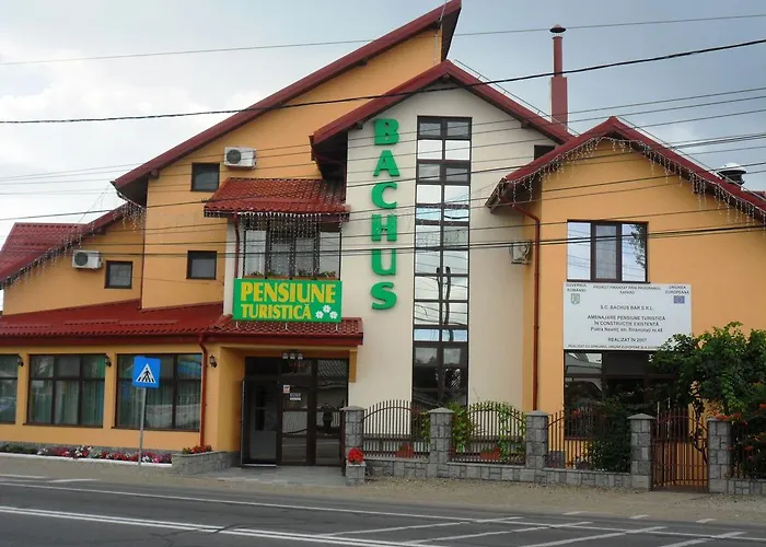 Pensiunea Bachus Piatra Neamţ